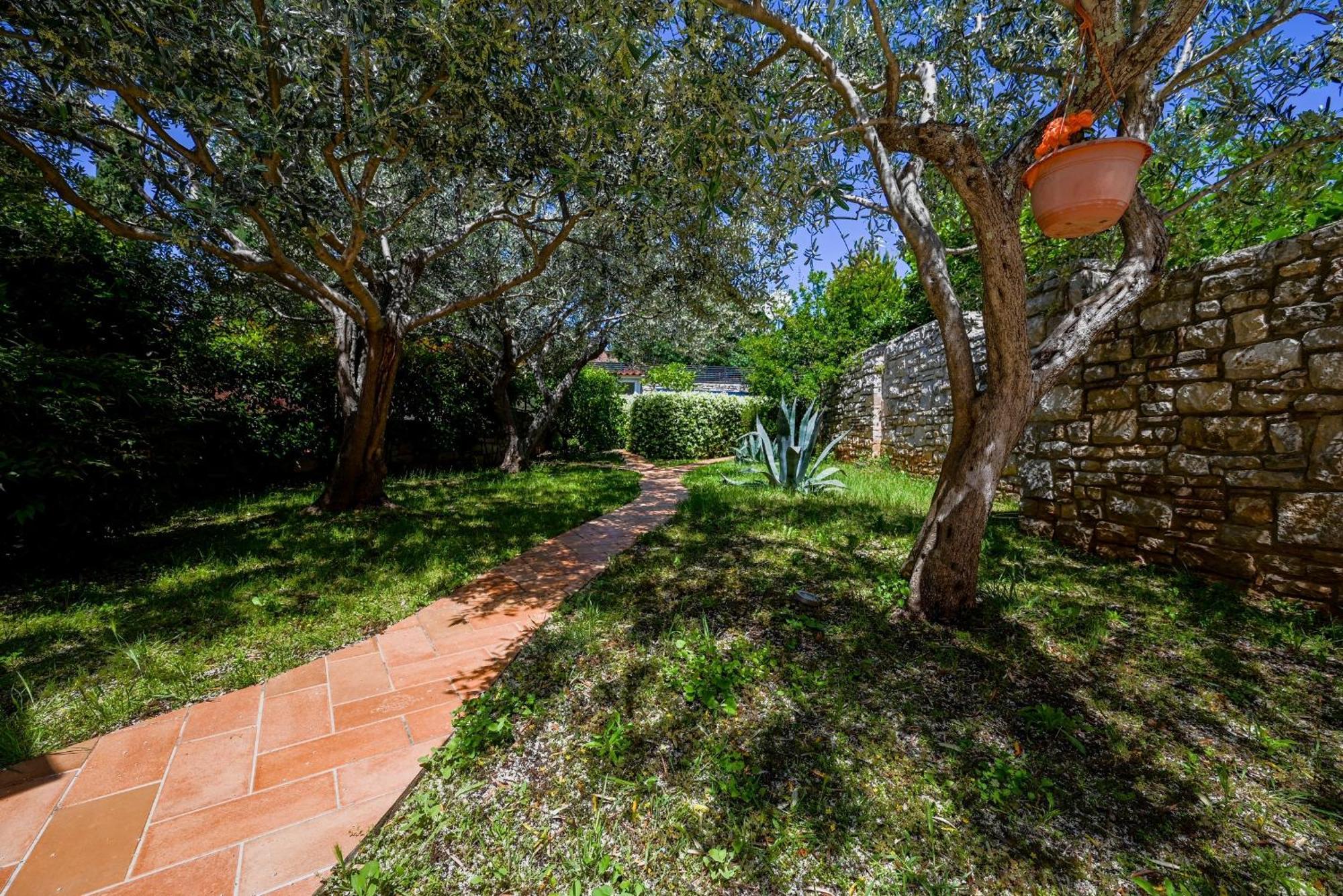 Casa Degli Artisti Hotell Rovinj Rum bild